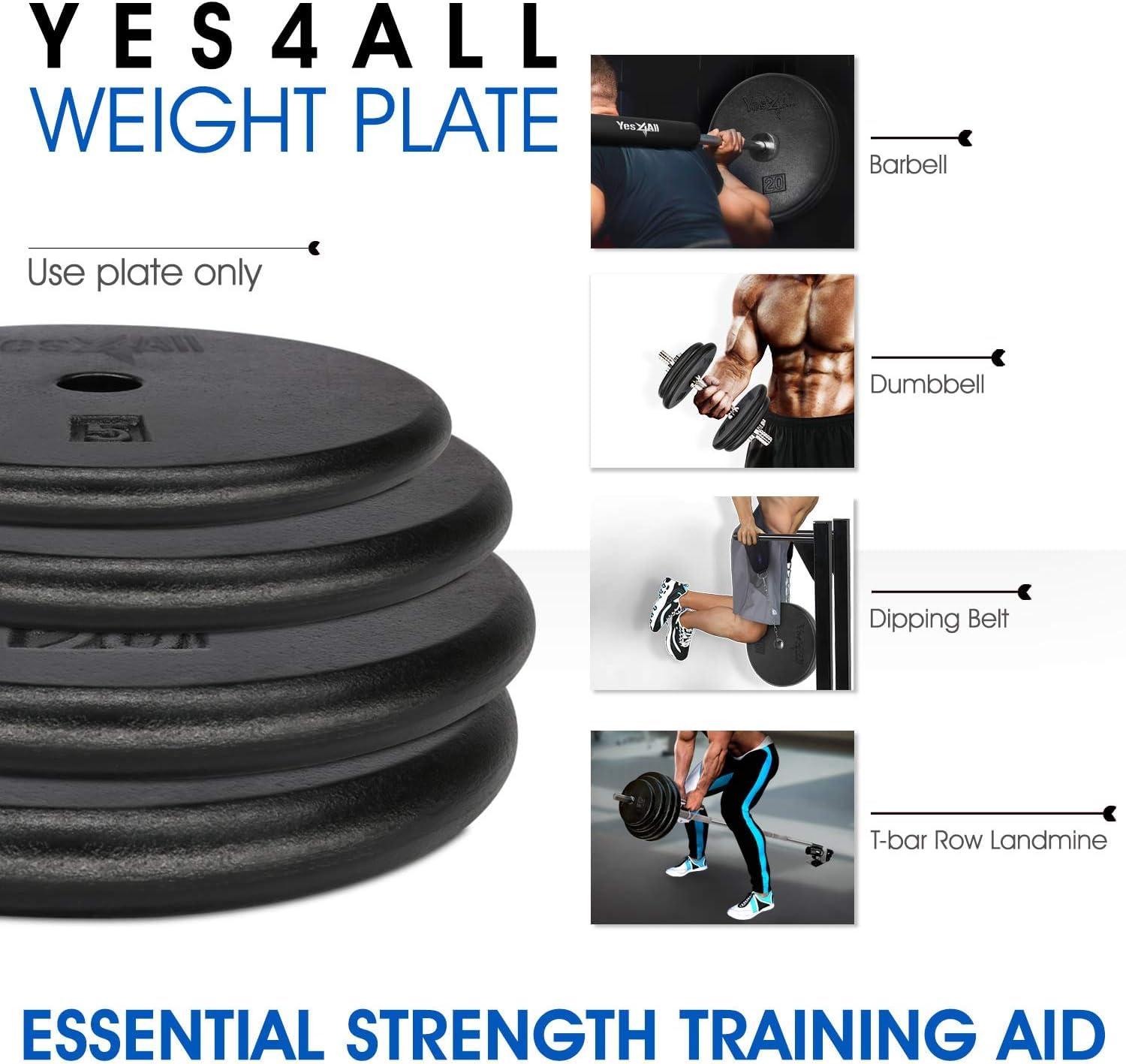 Yes4All 1 Inch Grip Cast Iron Weight Plates for Dumbbells – Standard Weight Plates – 20lb